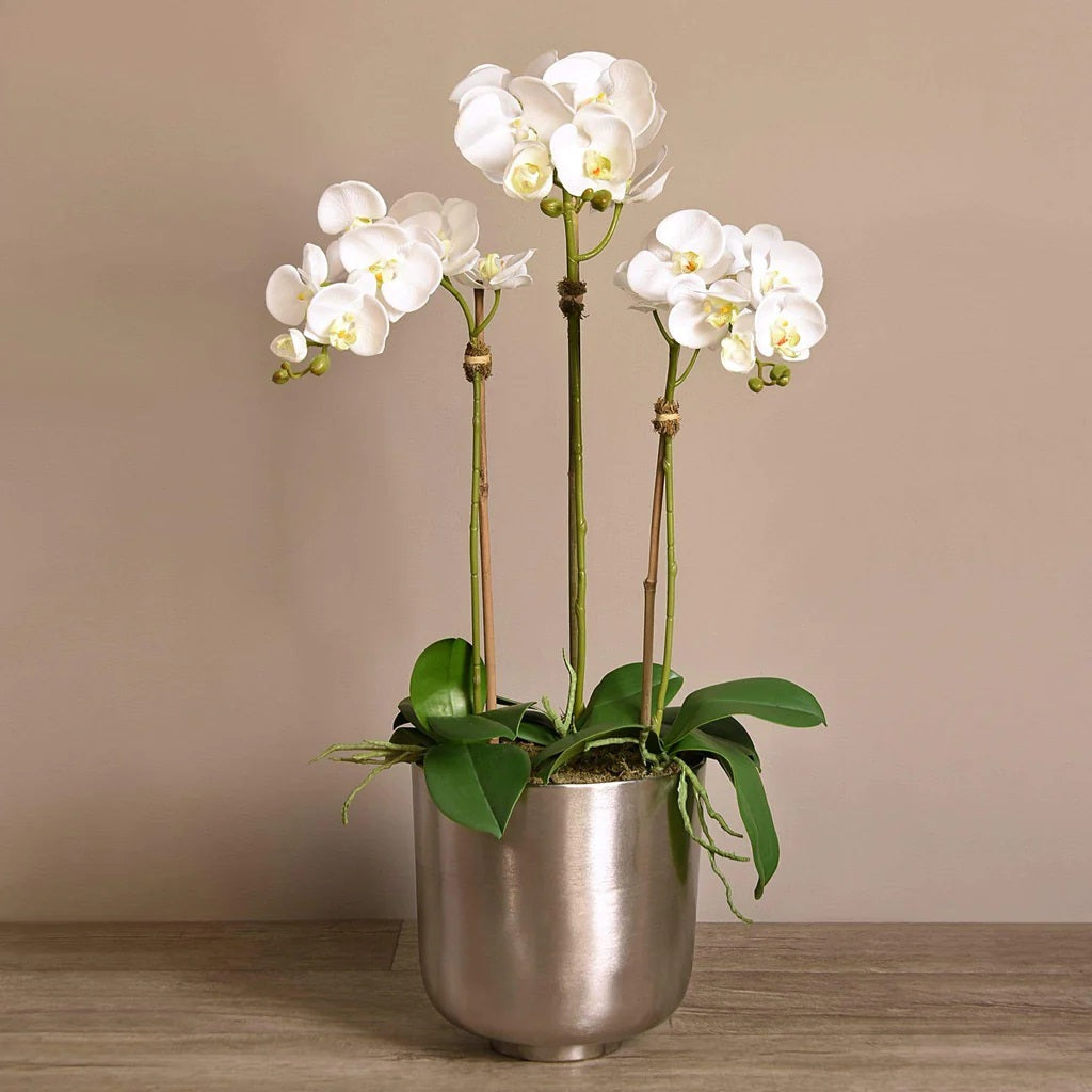 Linen Obsession "Orchid" in Silver Metallic Pot