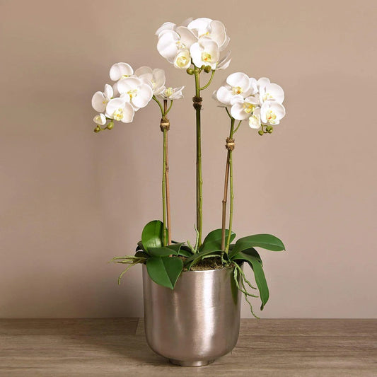 Linen Obsession "Orchid" in Silver Metallic Pot