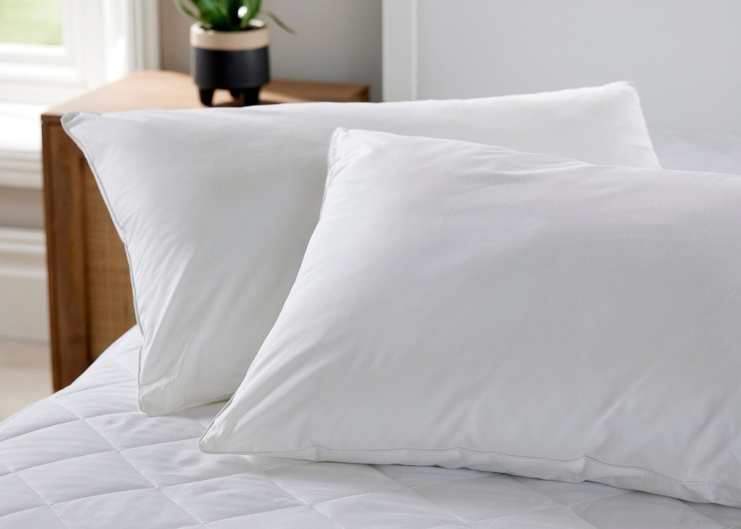 Christy "Essential Hollowfibre" Filled Pair of Pillows 47 x 72cm