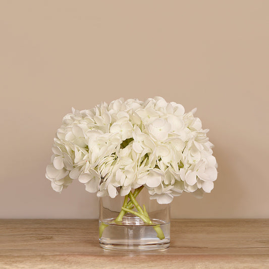 Linen Obsession "Hydrangea" Plant in White