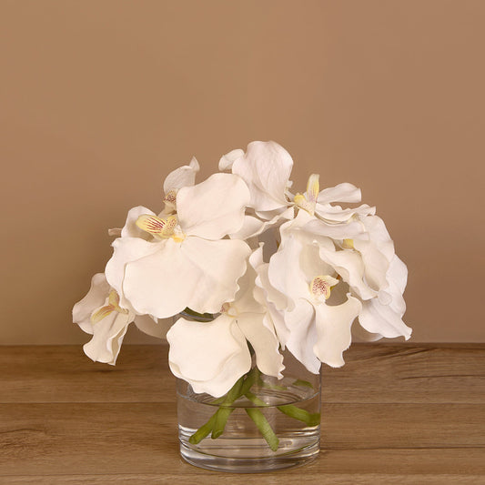 Linen Obsession "Vanda" Plant