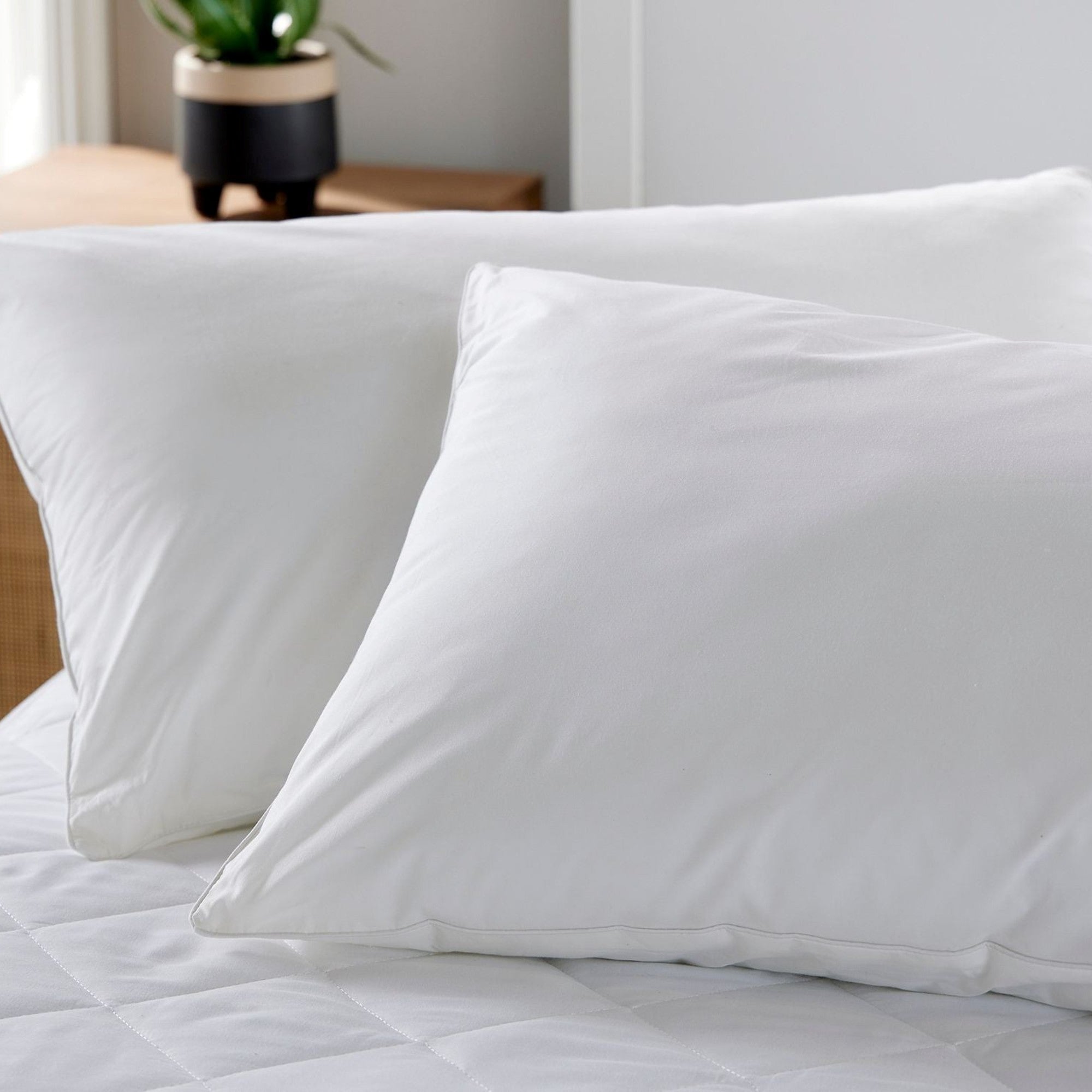 Essential Hollowfibre Filled Pair of Pillows 47 x 72cm