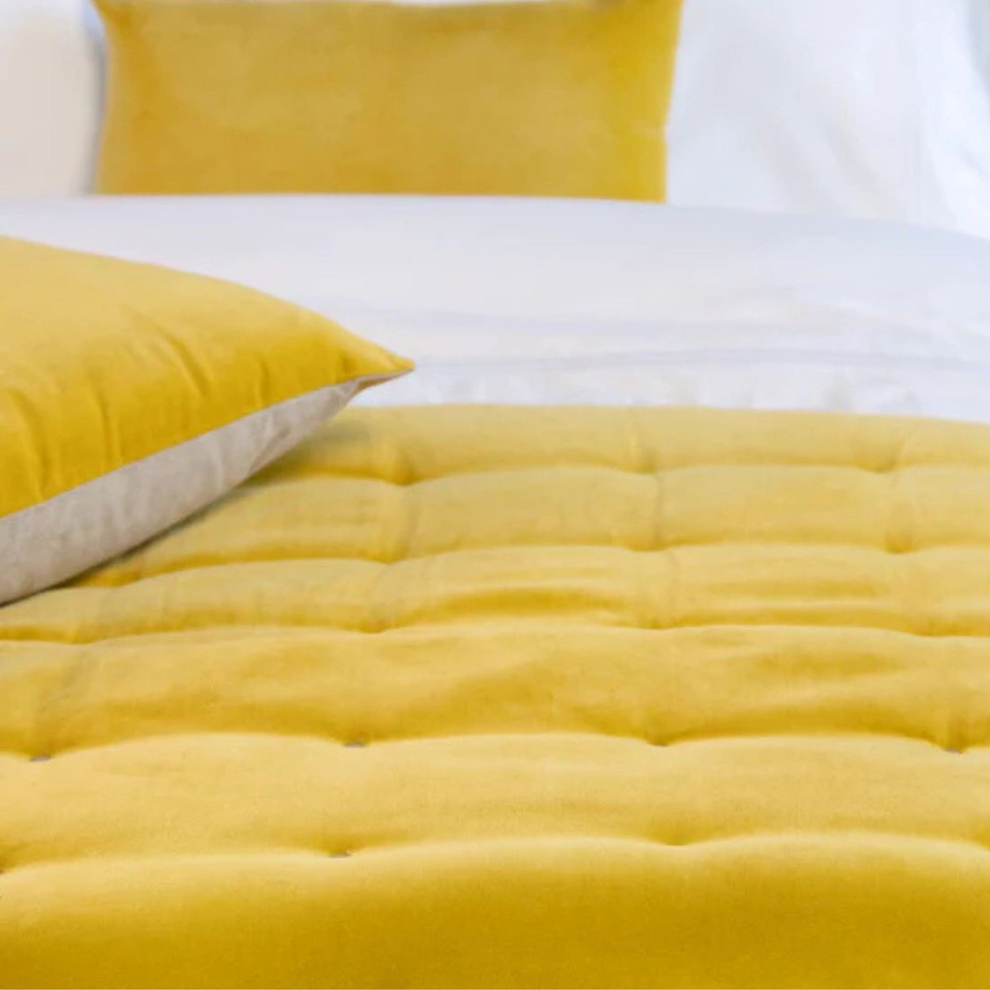 Jaipur Throws in Turmeric Gold