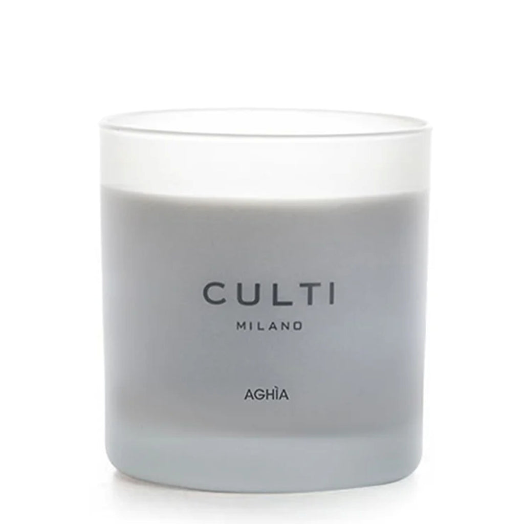 Coloured Wax Candles (270g)