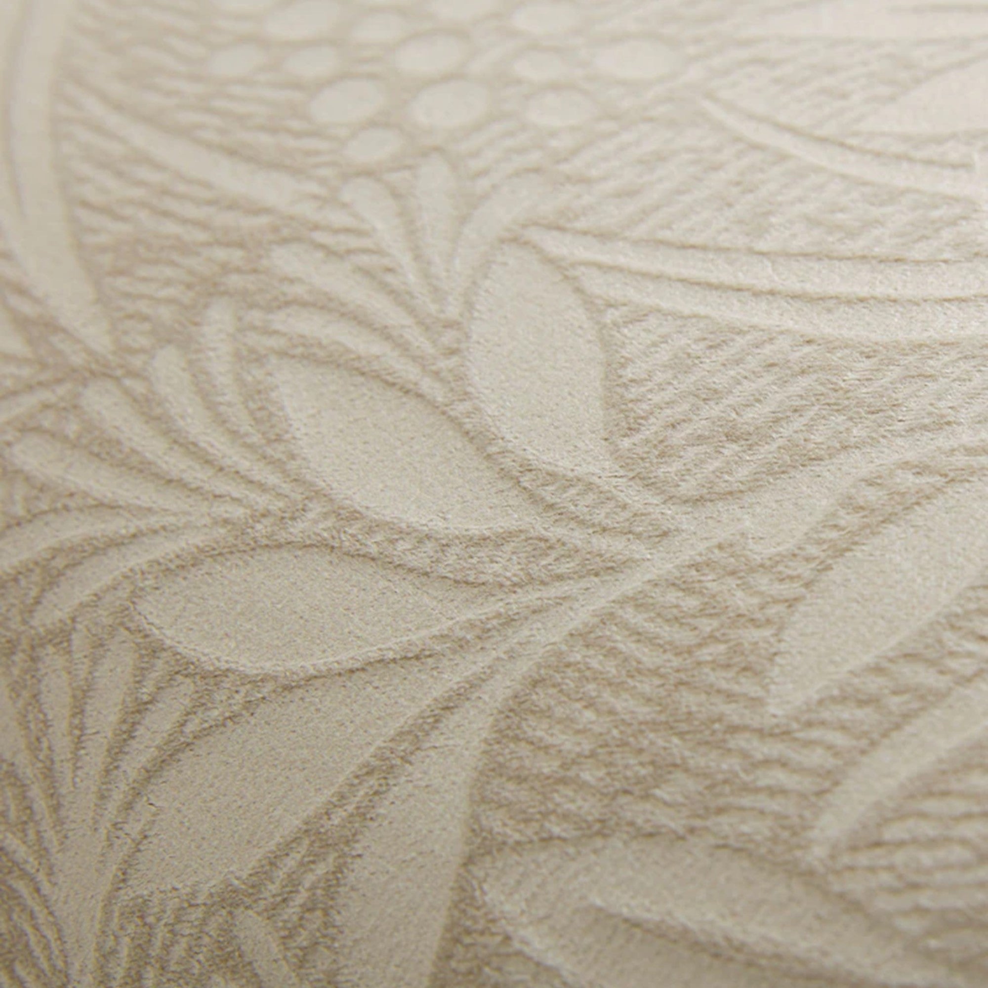 Barley Decorative Filled Cushion