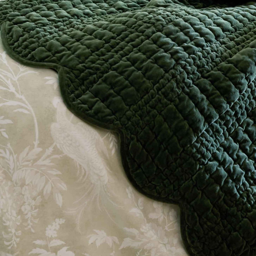 Brady Scalloped Bedspread in Pine Green
